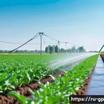 Home 17 기상조절 기술이 농업에 미치는 영향 - A modern Russian farm field with smart drip irrigation system in action, showing water droplets prec...
