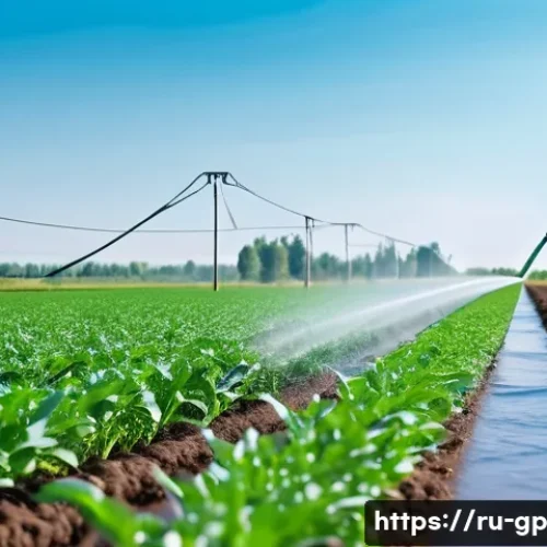 Home 29 기상조절 기술이 농업에 미치는 영향 - A modern Russian farm field with smart drip irrigation system in action, showing water droplets prec...